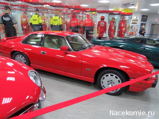 Автолегенды вживую