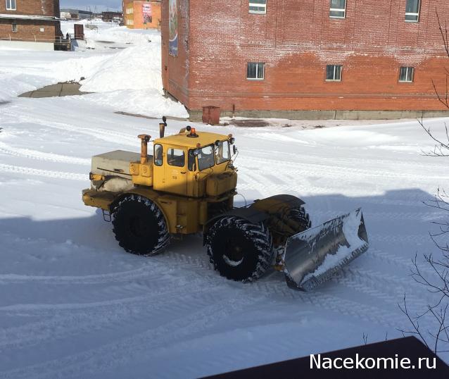 Автолегенды вживую