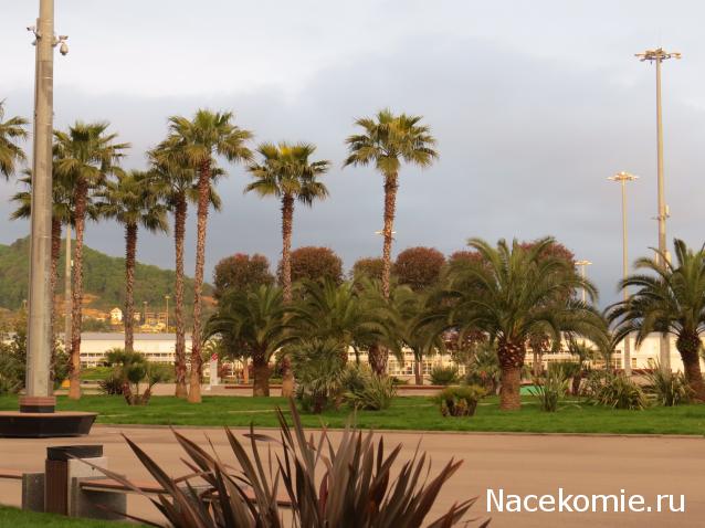 "Живой уголок"