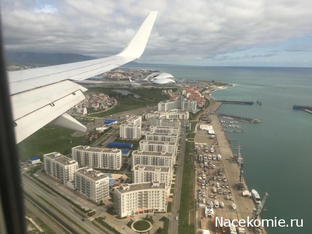 "Живой уголок"