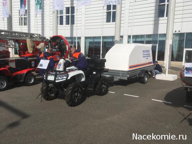 Автолегенды вживую