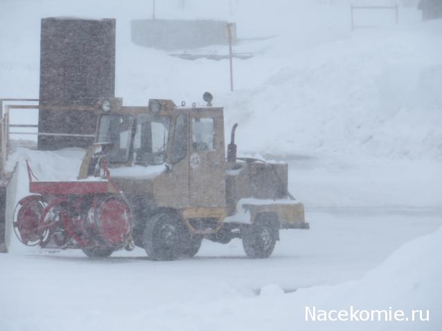 Автолегенды вживую