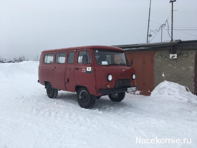 Автолегенды вживую