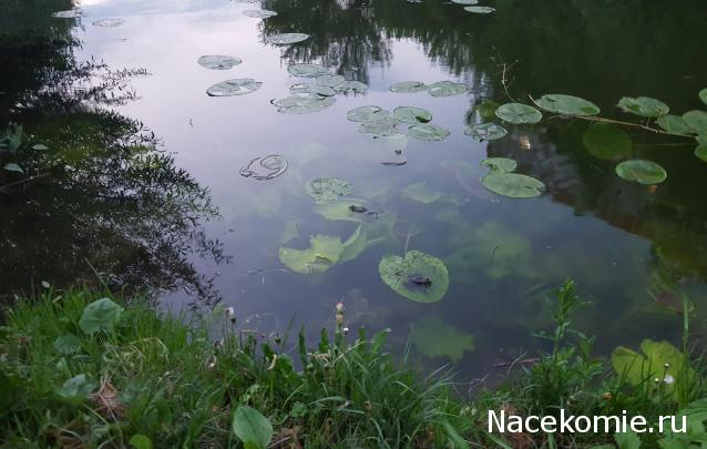 "Живой уголок"