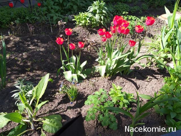 "Живой уголок"