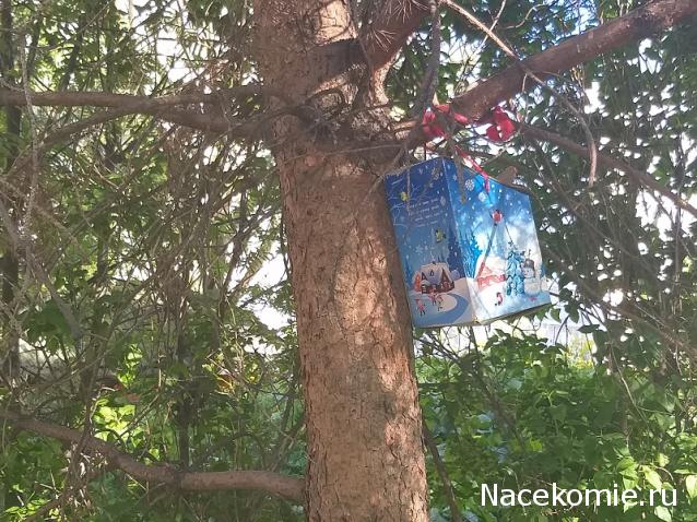 "Живой уголок"