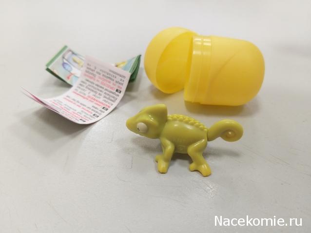 "Живой уголок"