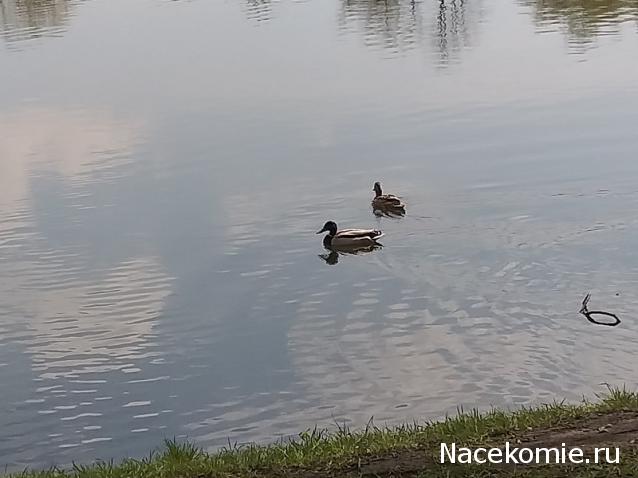 "Живой уголок"