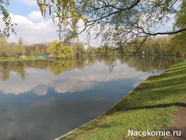 "Живой уголок"