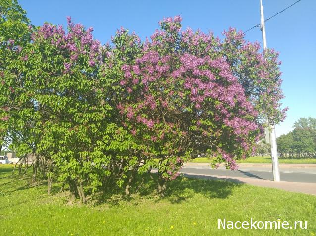 "Живой уголок"