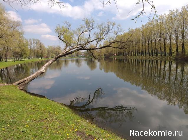 "Живой уголок"