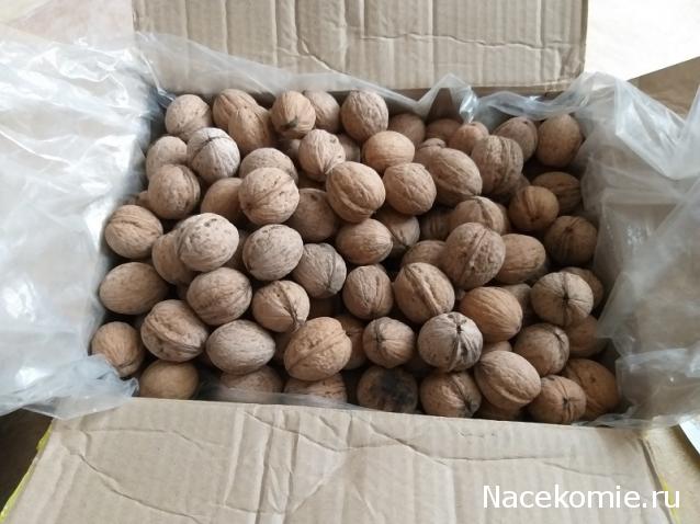 Тракторная болталка