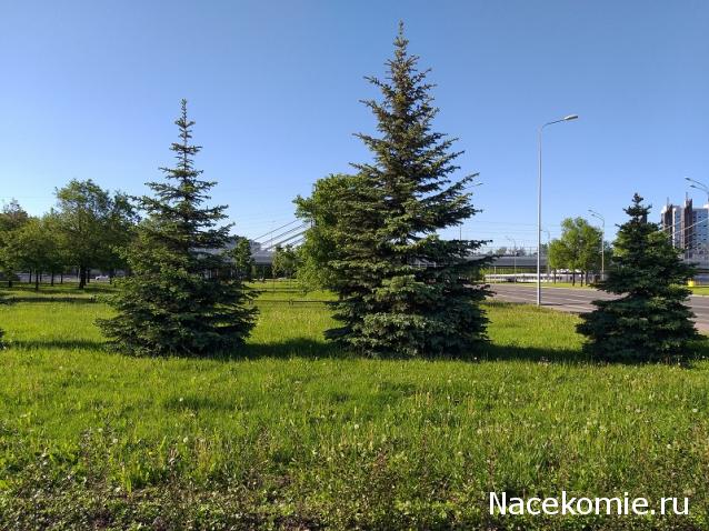 Eva1949 - Дом мечты-души моей воспоминания; 1Abrikoska - Мой гостеприимный дом