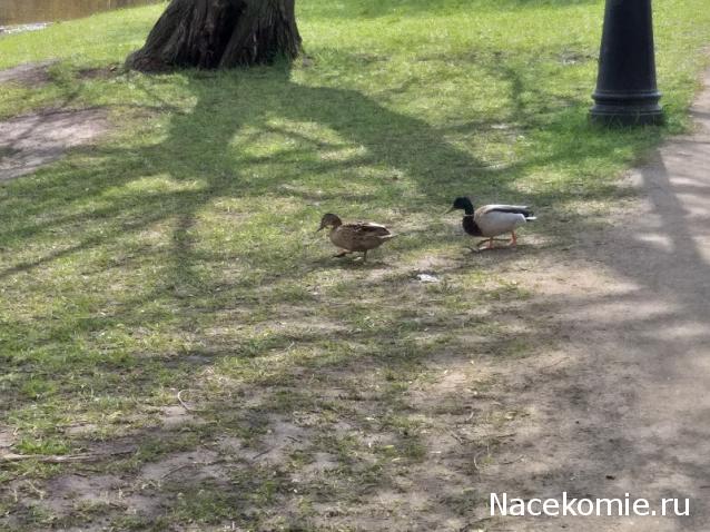 "Живой уголок"