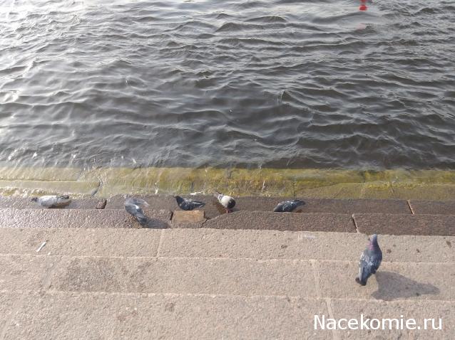 Тракторная болталка