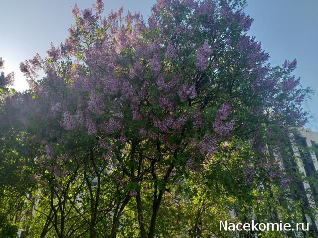 "Живой уголок"