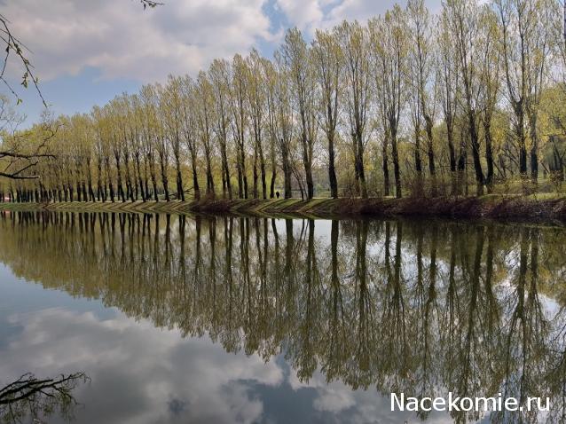 "Живой уголок"