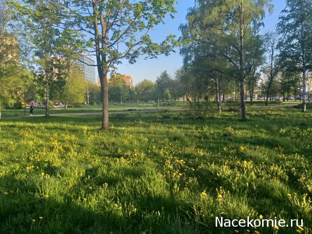 "Живой уголок"