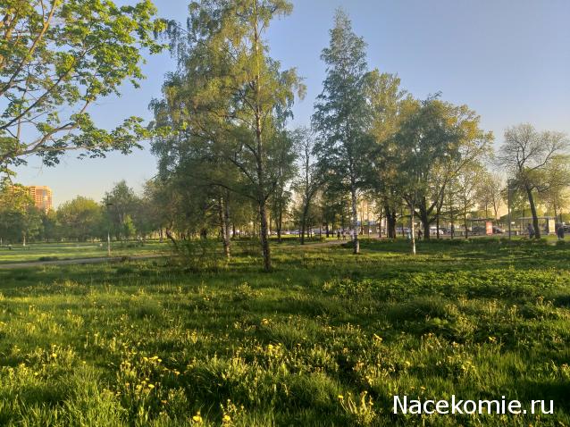 "Живой уголок"