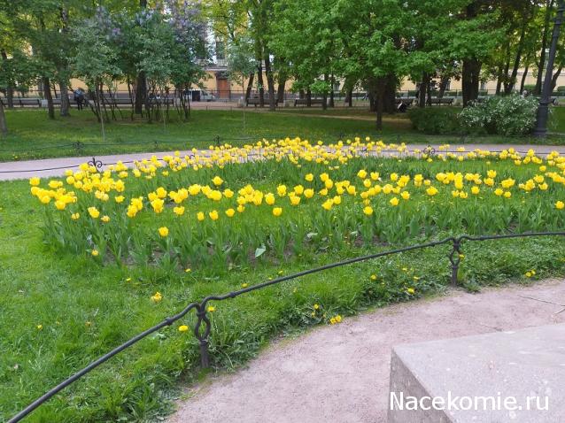 "Живой уголок"