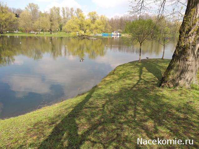 "Живой уголок"