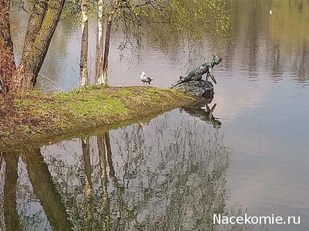 "Живой уголок"