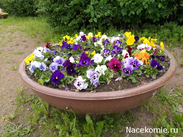 Eva1949 - Дом мечты-души моей воспоминания; 1Abrikoska - Мой гостеприимный дом