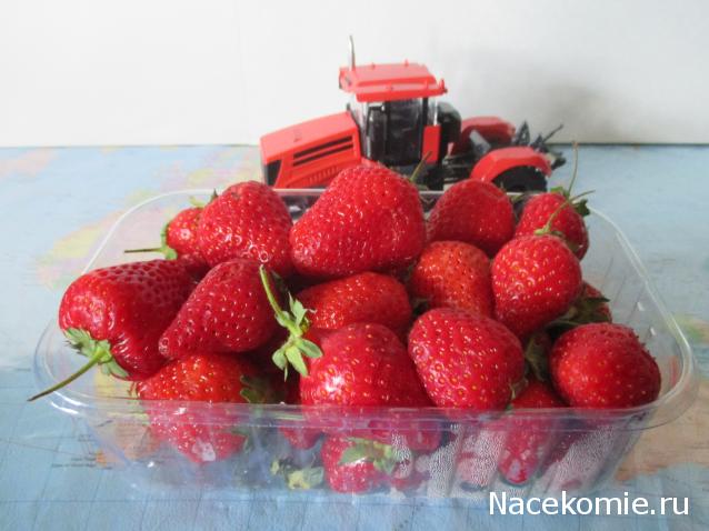 Кулинарный отдел