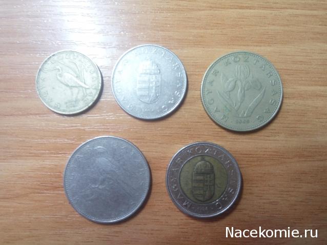 Коллекции пользователей. Нумизматика и бонистика