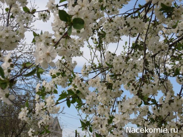 Куклы в Костюмах Народов Мира - Болтушки со всего Света