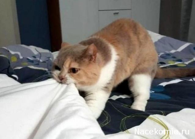 "Живой уголок"