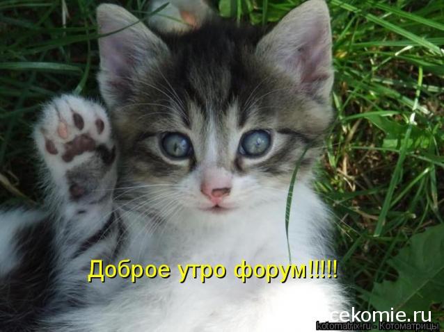 "Живой уголок"