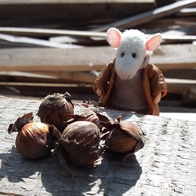 Annushka84 - Домик для медведей и кое-что еще