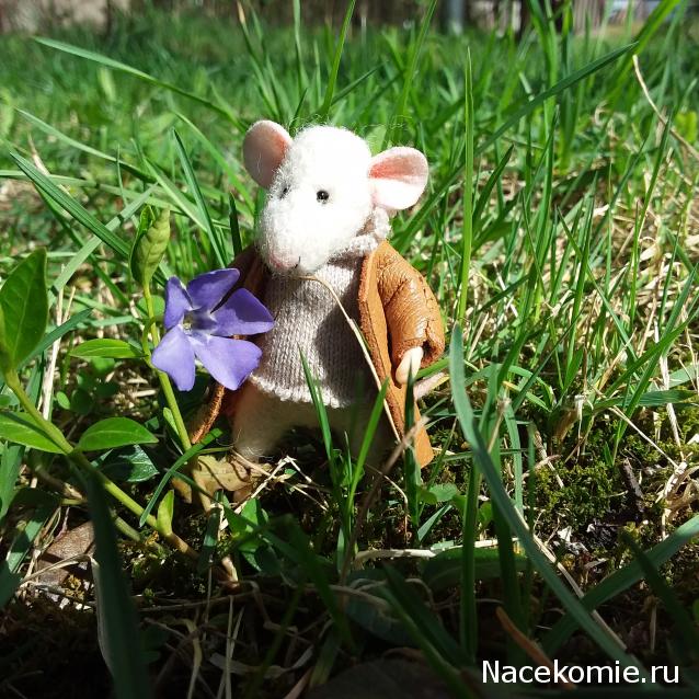 Annushka84 - Домик для медведей и кое-что еще