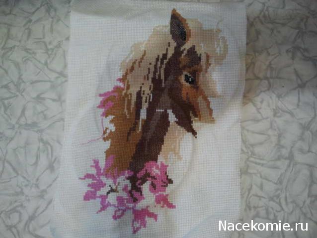 100 крестиков!