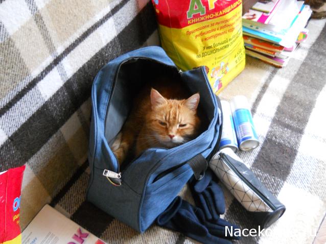 "Живой уголок"