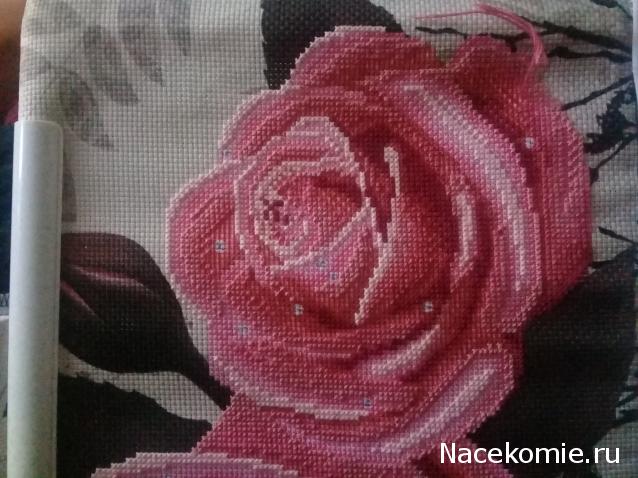 100 крестиков!