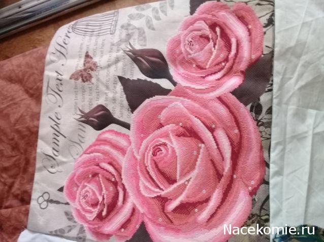 100 крестиков!