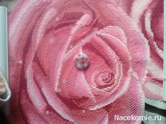 100 крестиков!