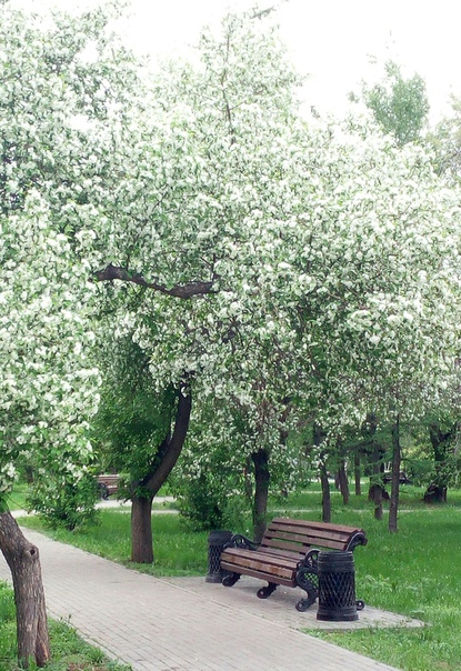 "Живой уголок"