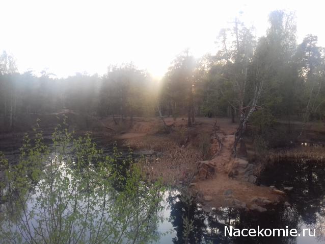 "Живой уголок"