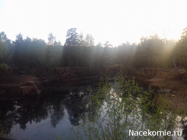 "Живой уголок"