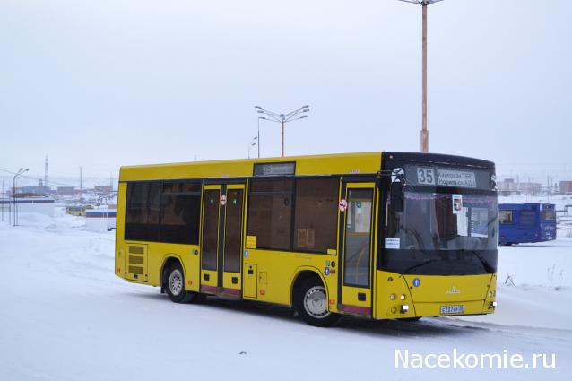 Фото наших коллекций автомобилей