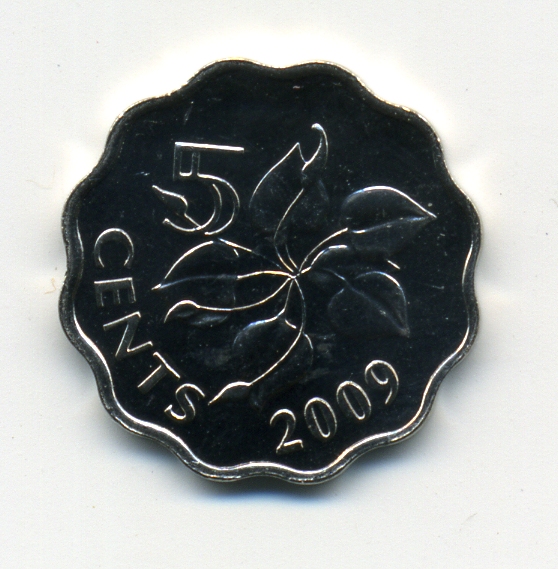 Деньги Мира №2 - Банкнота 5 руфий (Мальдивы) + монета 5 центов (Свазиленд)