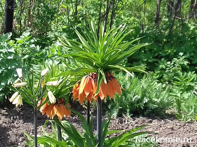 "Живой уголок"