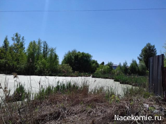 "Живой уголок"