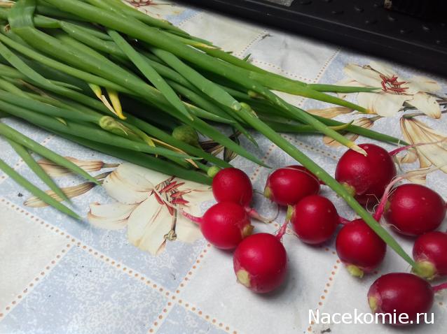 Кулинарный отдел