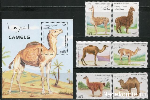 Почтовые марки Мира №237