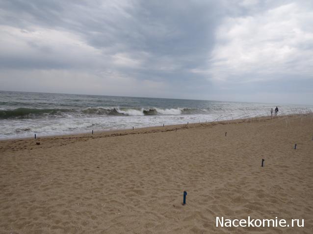 "Живой уголок"