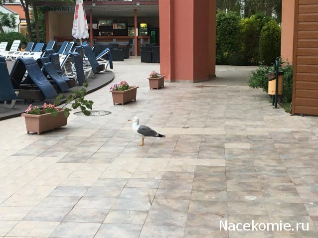 "Живой уголок"